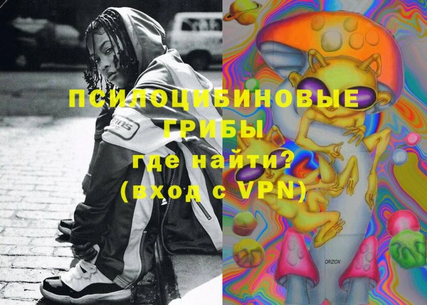 дживик Дмитриев