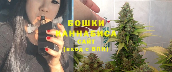 гидра Дмитров