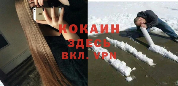 дживик Дмитриев