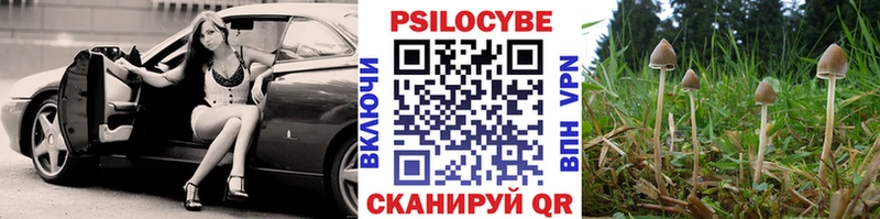 Псилоцибиновые грибы MAGIC MUSHROOMS  Купить закладки  Воткинск 